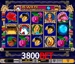 Descubra o Mundo do Cassino Online com 3800bet