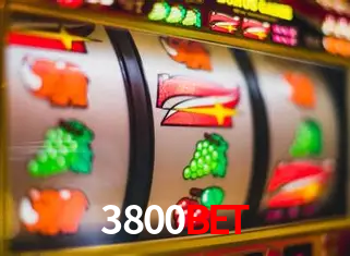 A Experiência Imersiva dos Cassinos Ao Vivo no 3800bet